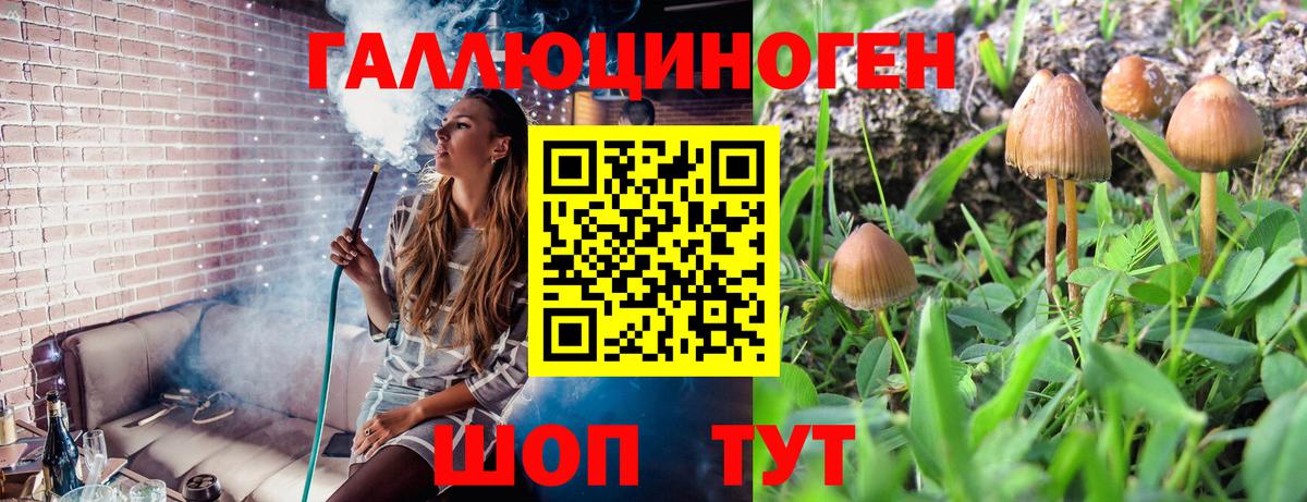 Галлюциногенные грибы прущие грибы Звенигород